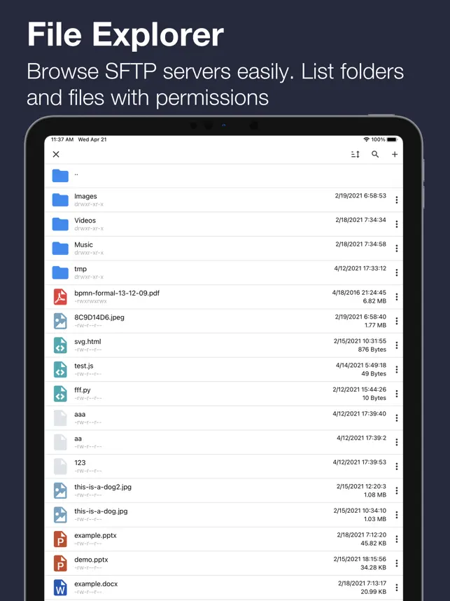 Screenshot 1 TermuXL: SSH, SFTP, Shell iphone