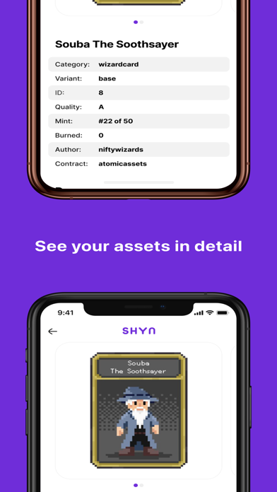 Shyn - NFT Portfolio screenshot 3