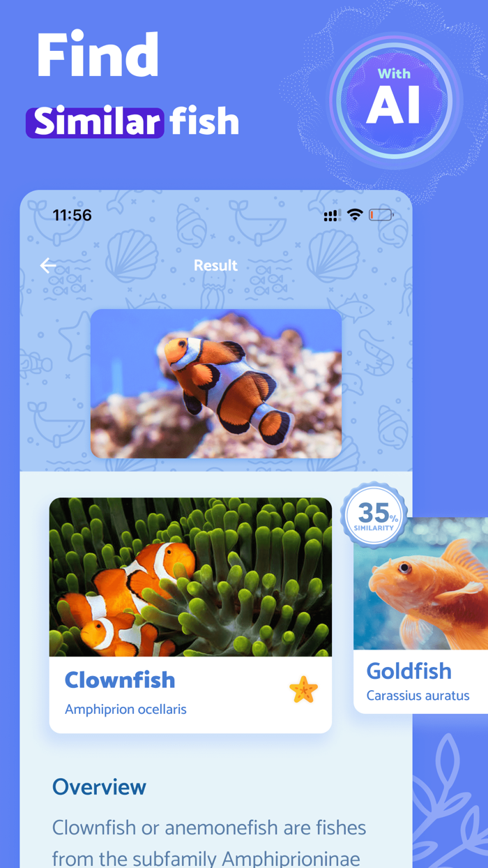 FishScan - Identify Fish