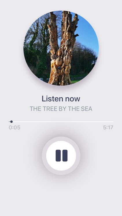 The Tree By The Sea