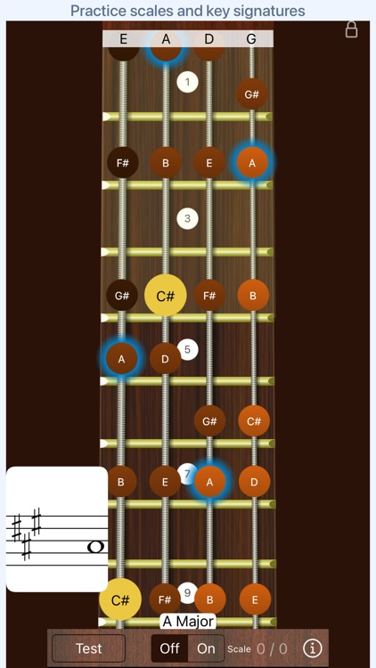 Bass Sight Reading Trainer