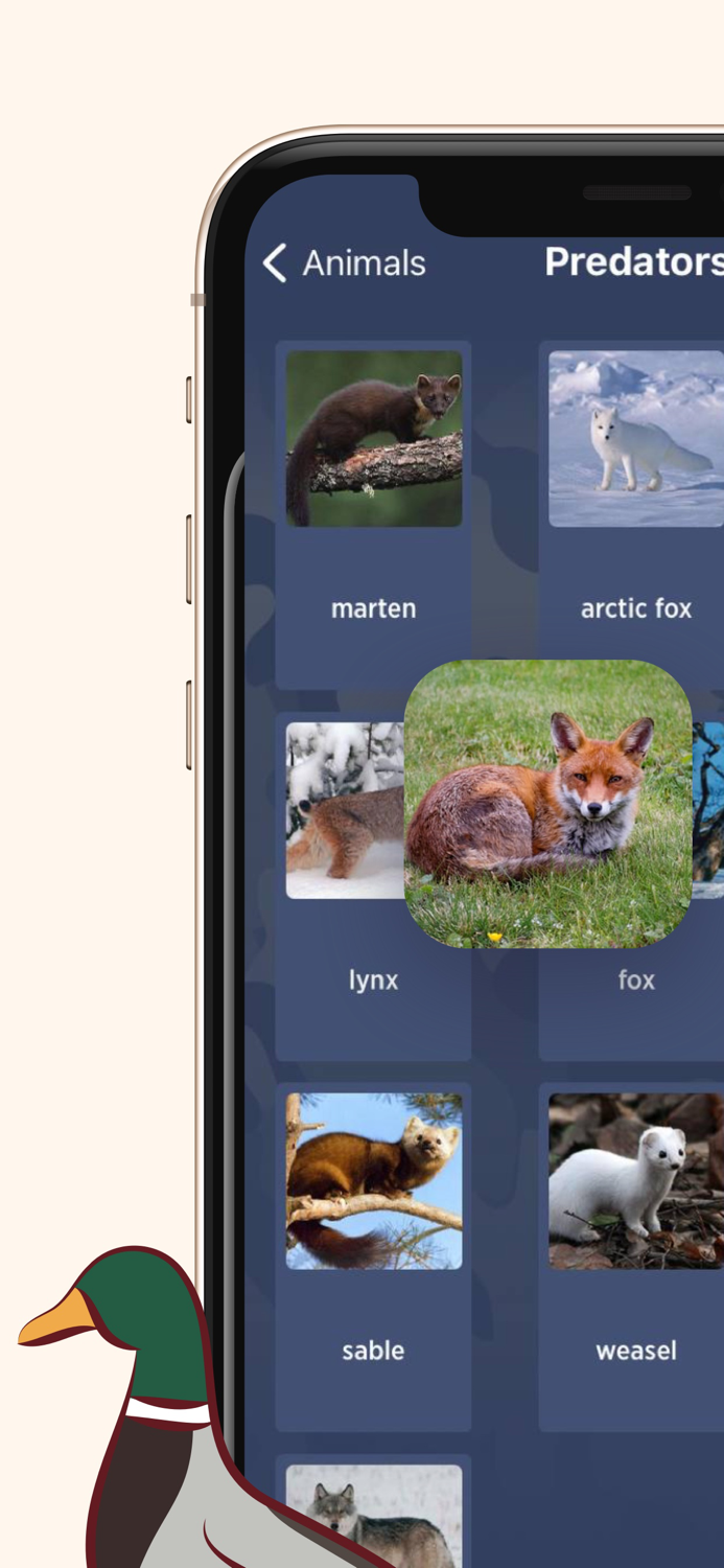 Manok Sounds for Duck
