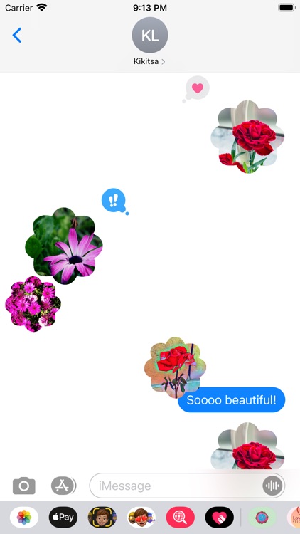 Flower Photo Sticks