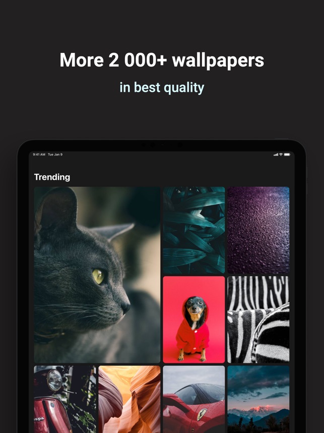 Wally - Best Wallpapers on the App Store