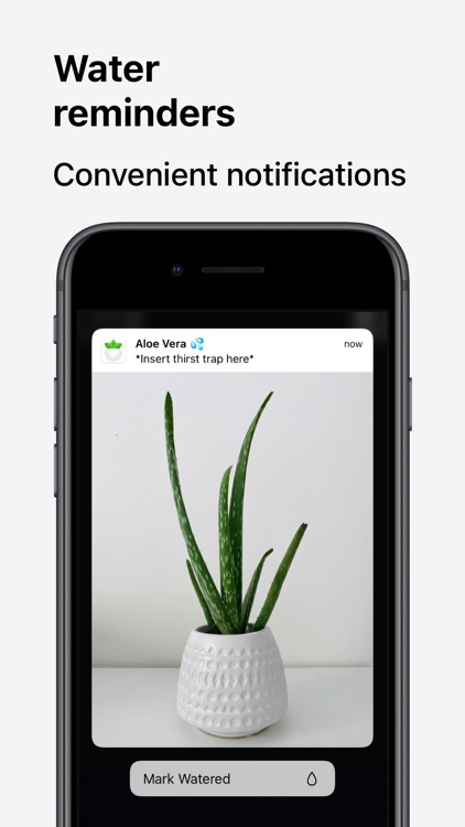 Plant Daddy — Water Reminders