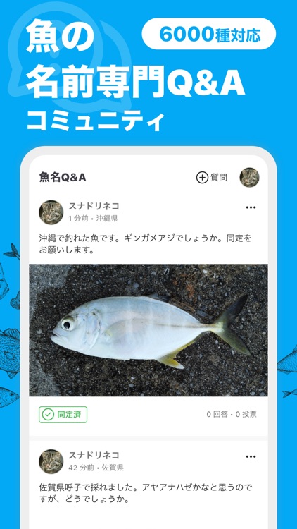 魚みっけ