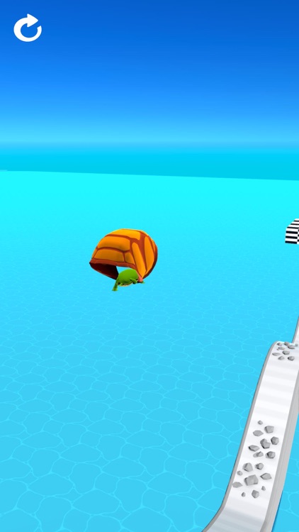 Turtle Race 3D