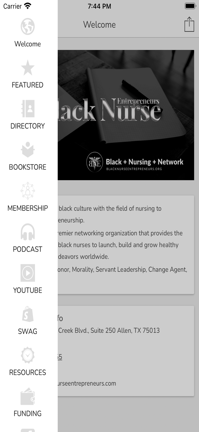 Black Nurse Entrepreneurs