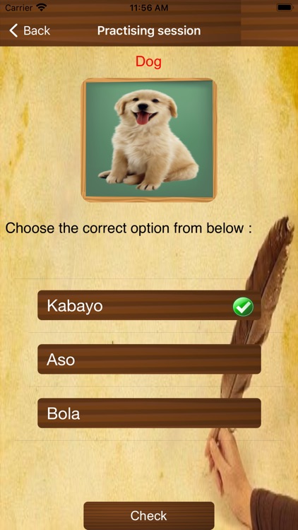 Learn Tagalog Language screenshot-3