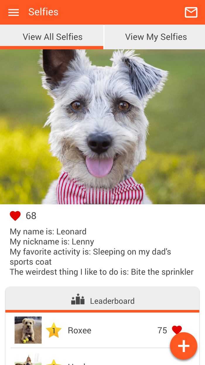 Starkville Veterinary Hospital