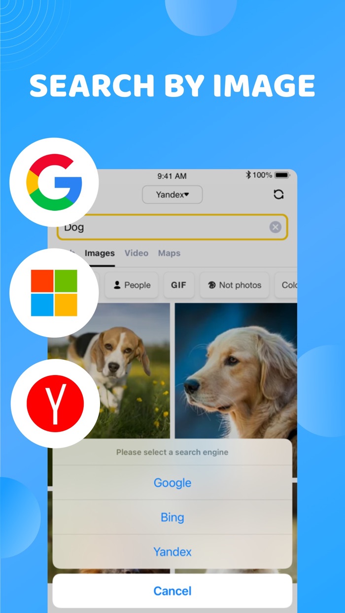 Reverse Image Search
