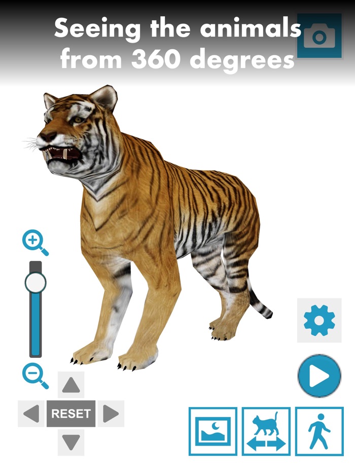 Коллекция поз животных