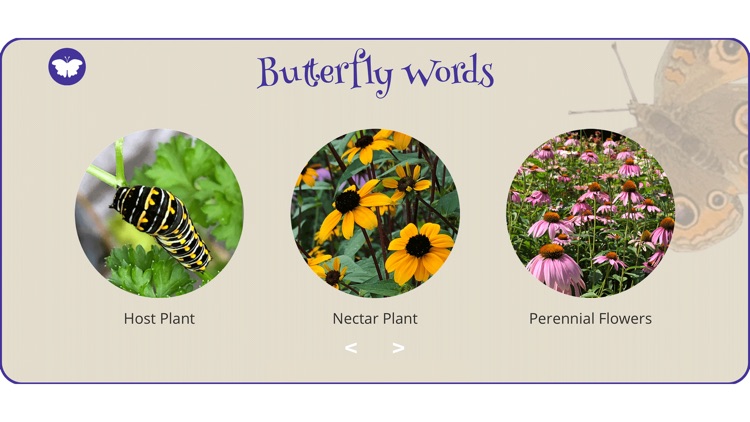 World of Butterflies screenshot-1