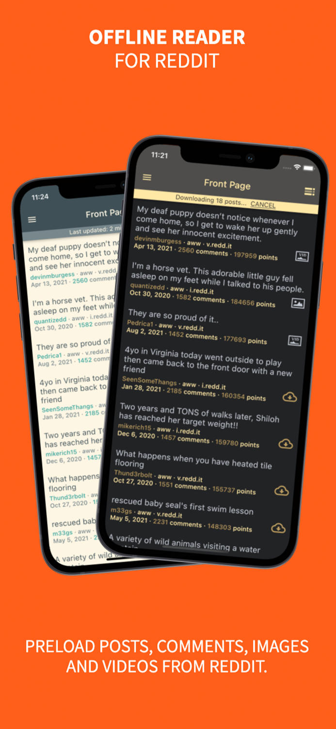 Offline Reader for reddit