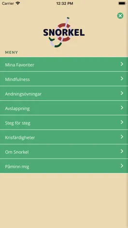 Game screenshot Snorkelövning apk