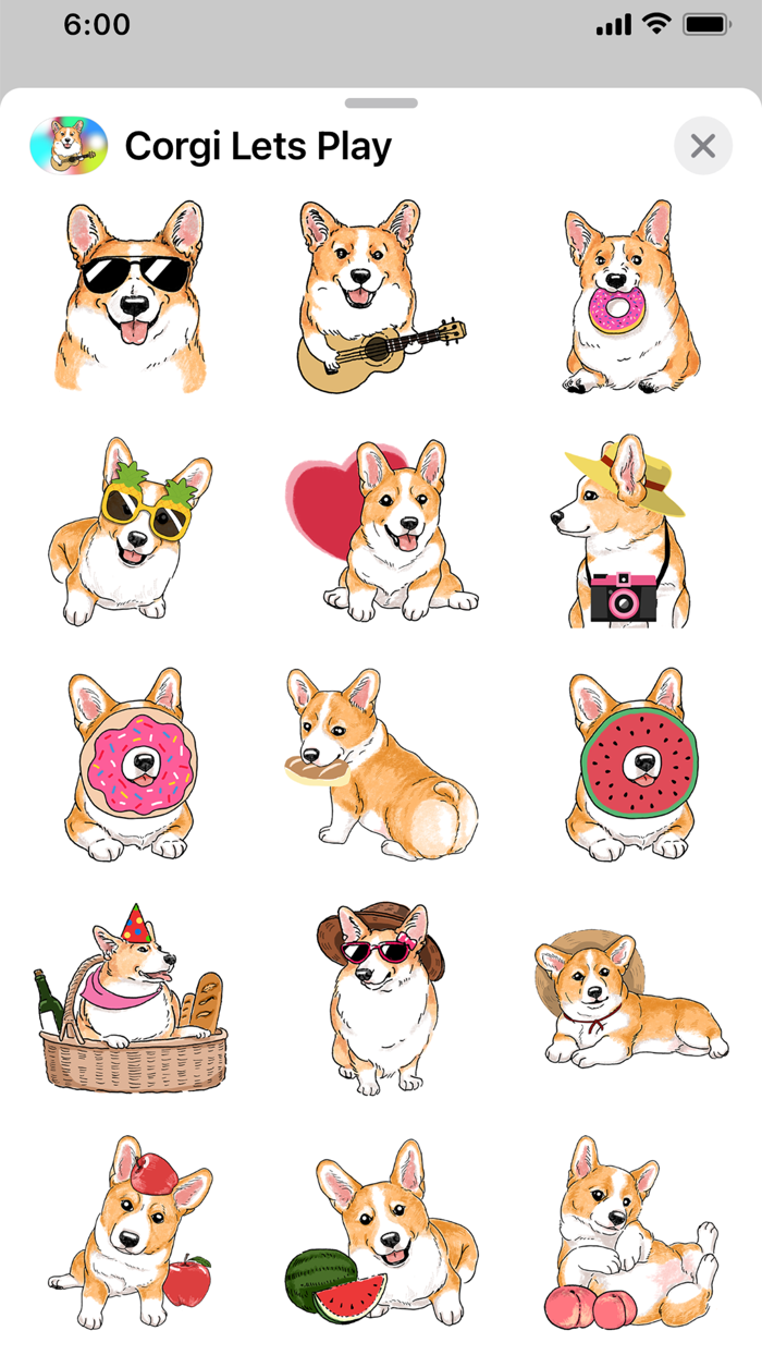 Corgi Lets Play