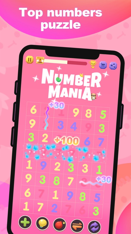 Number Mania - Cool Pair