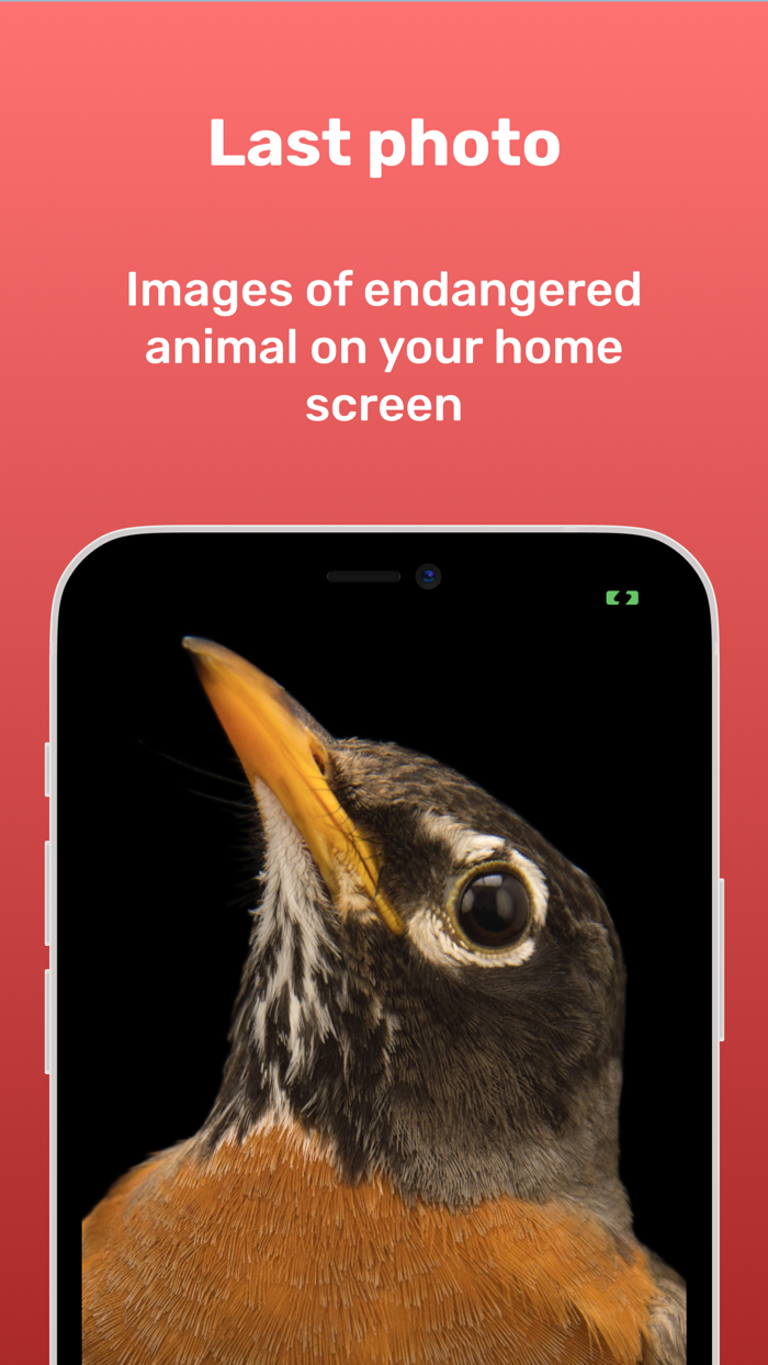 Last Photo - Wallpapers