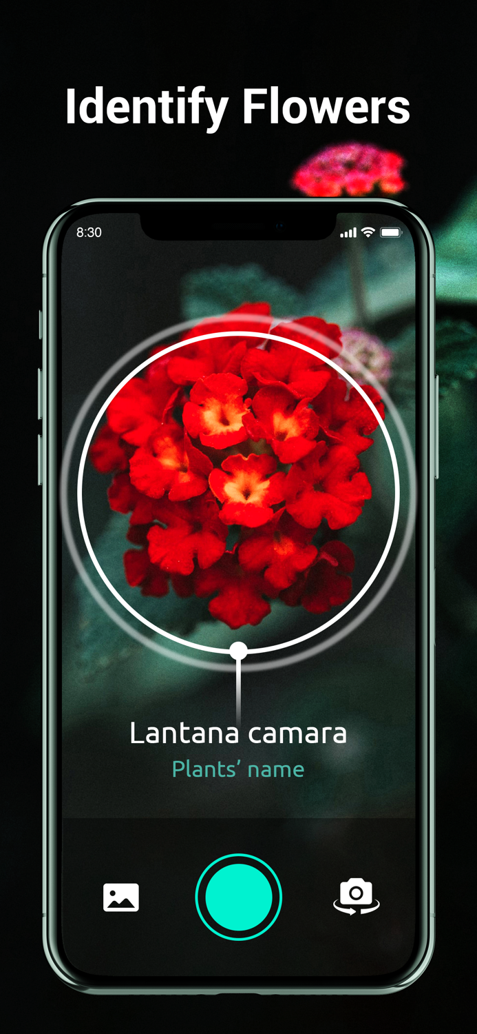 Plants Identifier plant snap