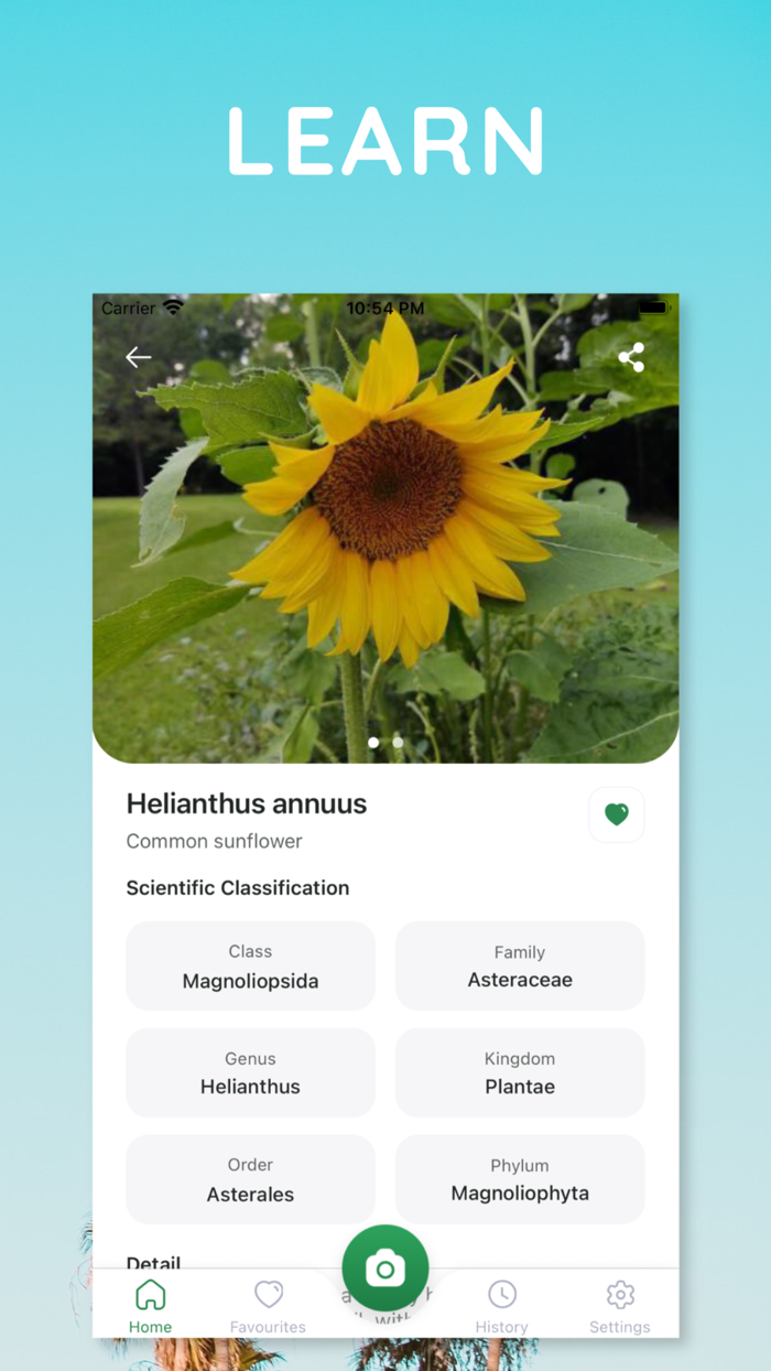 The Plant Identification App