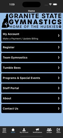 Game screenshot Granite State Gymnastics apk