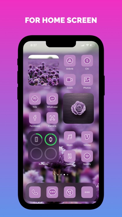 Widgets, Themes, Skins, Icons
