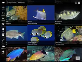 Game screenshot Reef Fishes of East Indies V2 hack