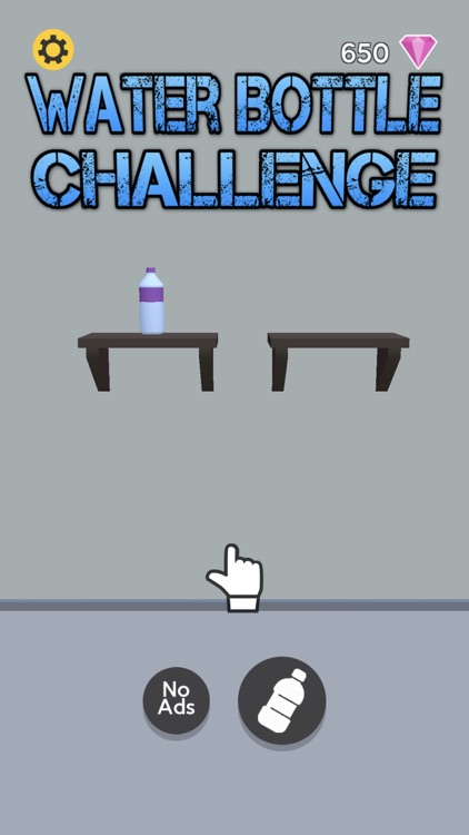 Water Bottle Challenge 2