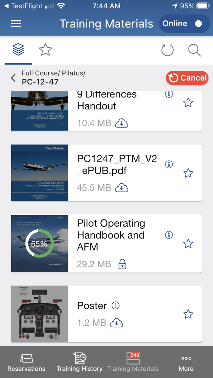 FlightSafety International