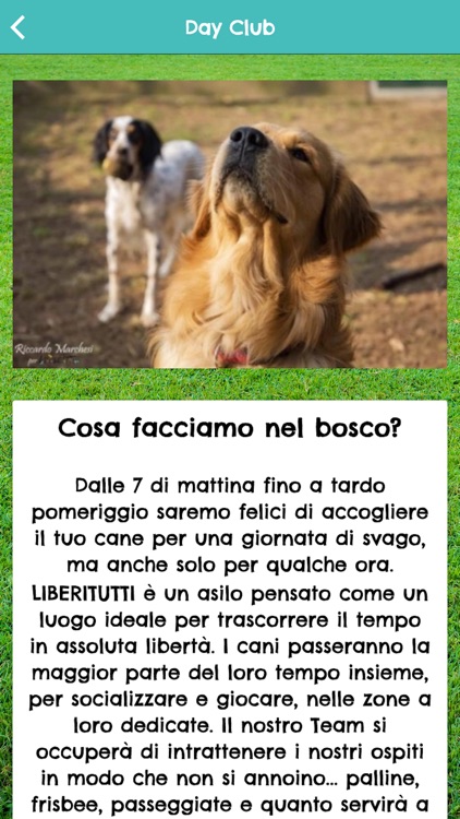 Liberitutti! - Asilo per cani screenshot-3