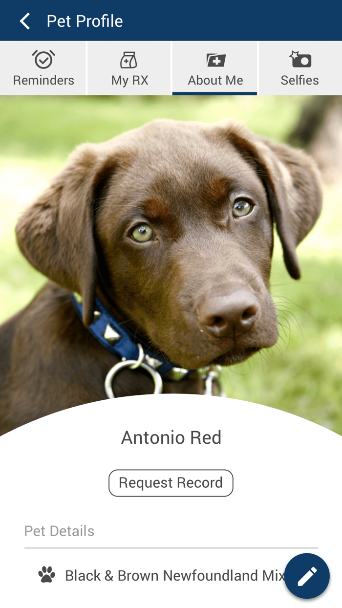 Care Animal Hospital FL