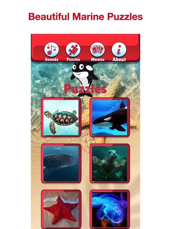 Angry Shark: Sea Animal Games screenshot 3