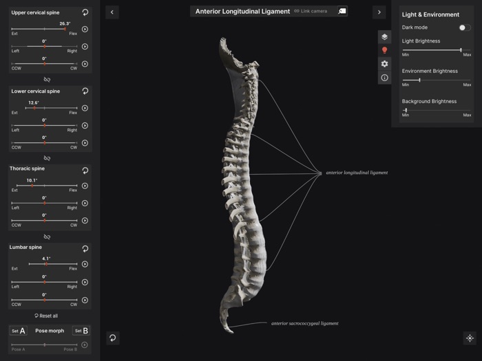 Biomechanics of the Spine Lite