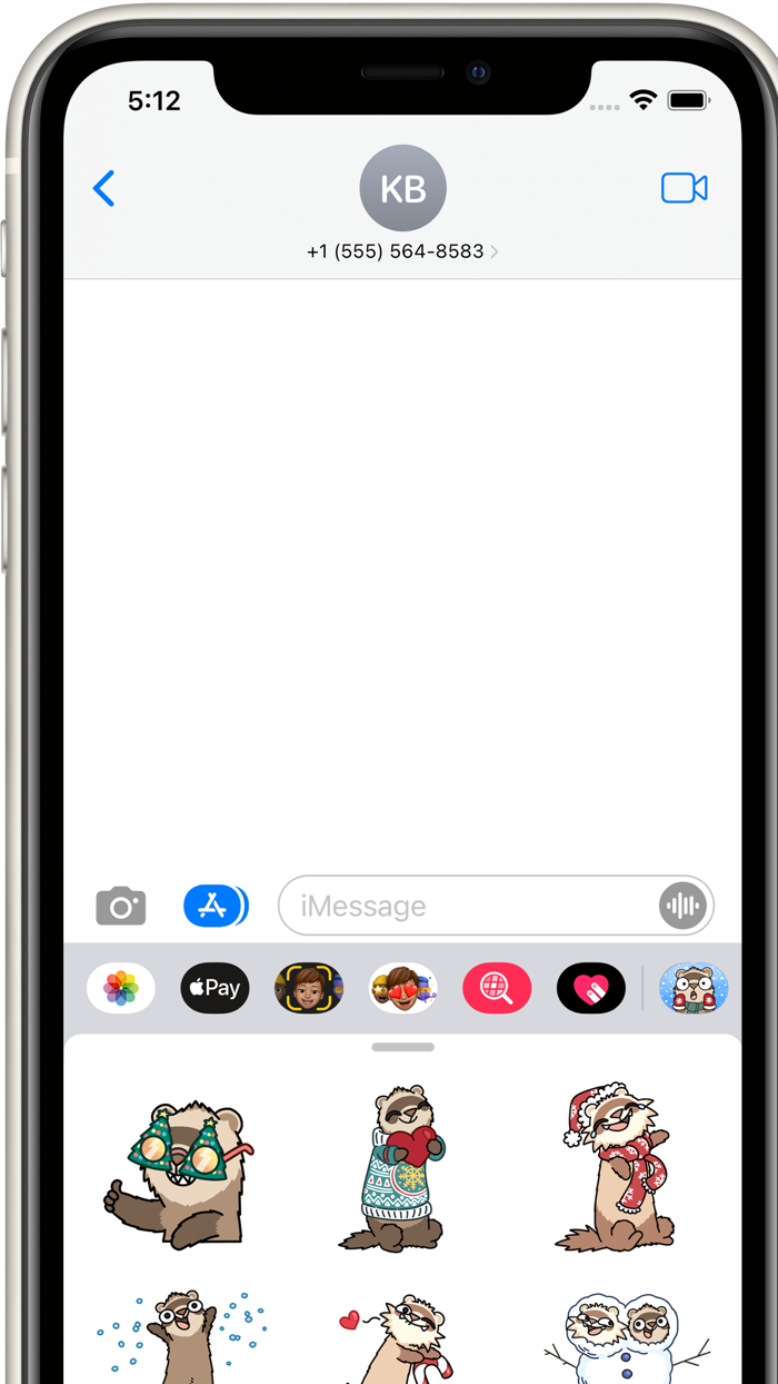 Ferret Christmas-Meems  Feefs