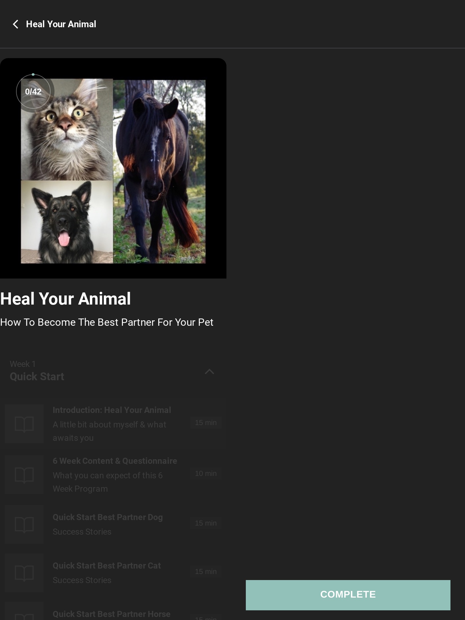 Heal Your Animal screenshot 3