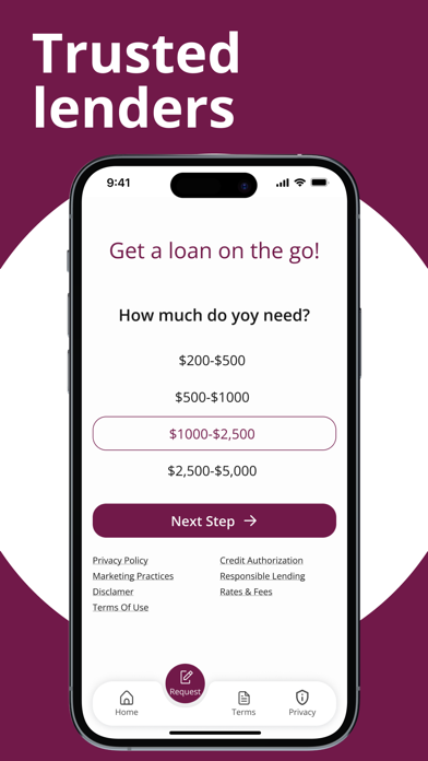 Instant Loan & Money Advance screenshot 4