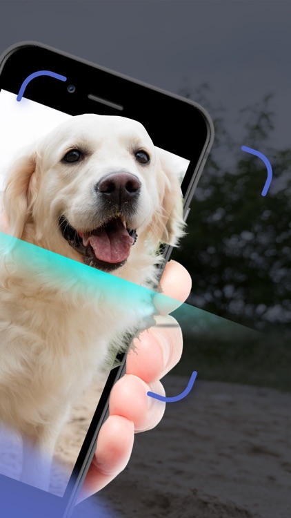Dog Scanner - Puppy ID