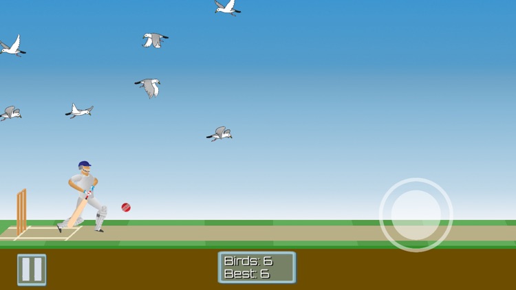 CricketMayhem: 2D Cricket Game screenshot-6