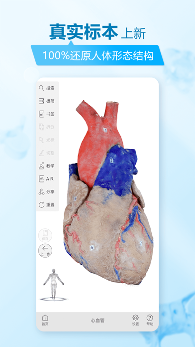 维萨里3D解剖教学