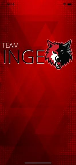 Game screenshot TEAM INGE mod apk