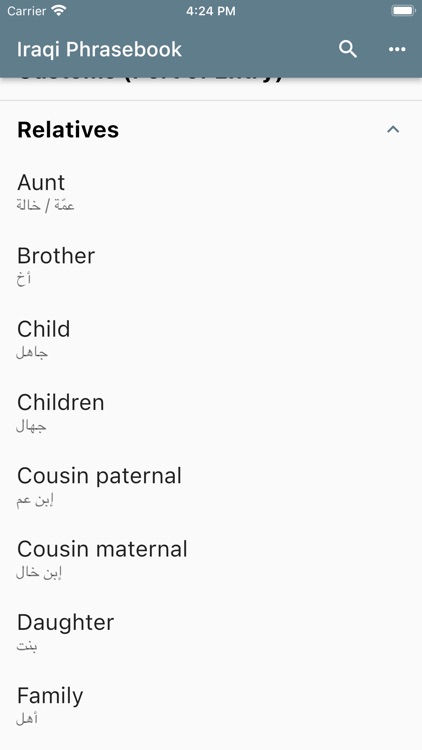 Iraqi Phrasebook screenshot-3