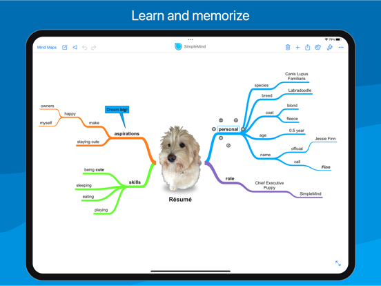 SimpleMind Pro - Mind Mapping screenshot 2