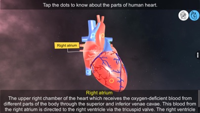 Heart - An incredible pump screenshot 2