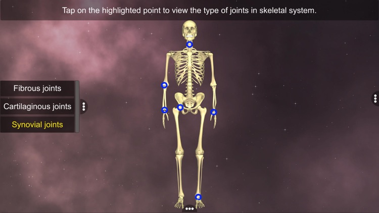 Joints: The Human Levers screenshot-3