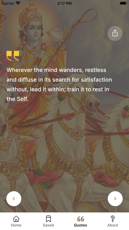 Bhagavad Gita: Hindi & English screenshot-7