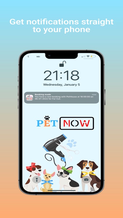 PetNow