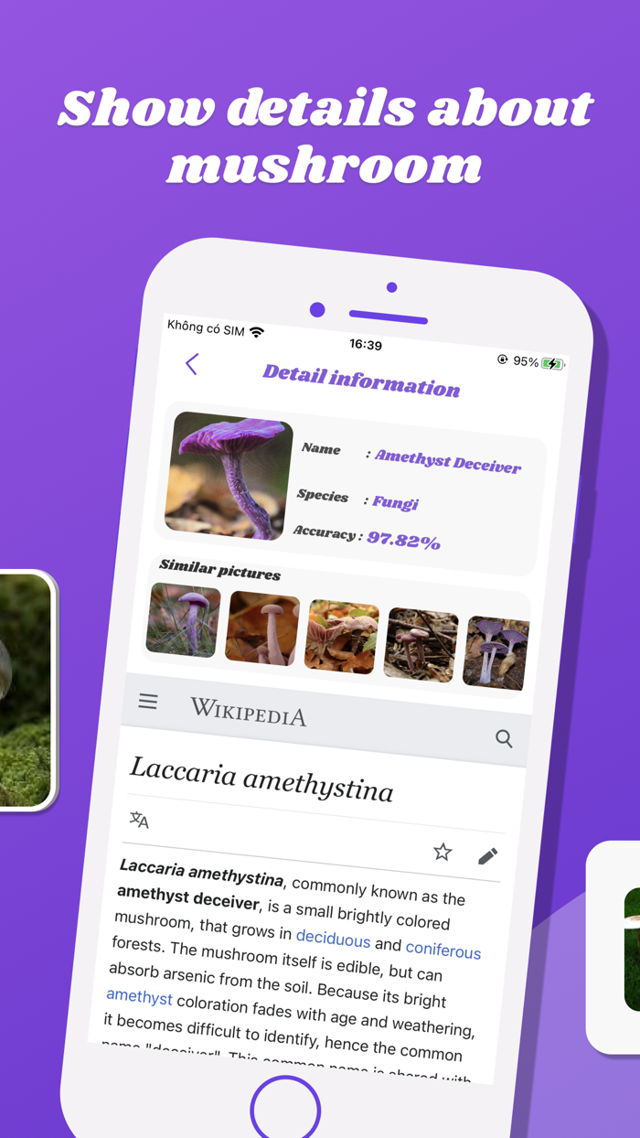 Mushroom id- Mushroom identify