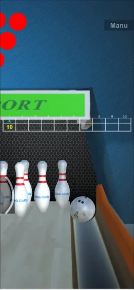 Game screenshot Bowling point of view apk