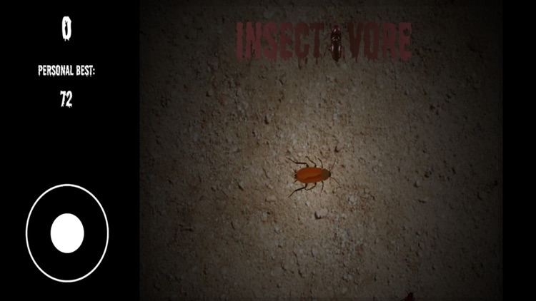 Insectivore