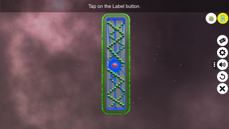 Learn Algae screenshot-4